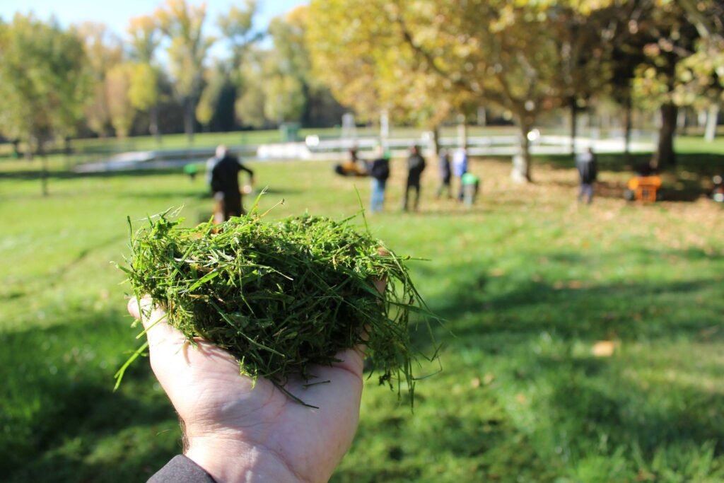 cortacésped mulching